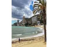 Alquiler a largo plazo - Apartamento - Alicante - Albufereta