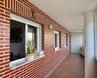 Alquiler a largo plazo - Apartamento - Alicante - Babel