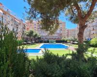 Alquiler a largo plazo - Apartamento - Alicante - Centro