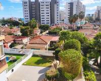 Alquiler a largo plazo - Apartamento - Alicante - Franc Espinós