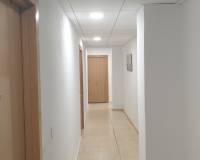 Alquiler a largo plazo - Apartamento - Alicante - San Blas - Santo Domingo