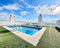 Alquiler a largo plazo - Apartamento - Almoradí - centro