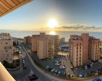 Alquiler a largo plazo - Apartamento - Arenales del Sol