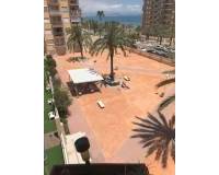 Alquiler a largo plazo - Apartamento - Arenales del Sol