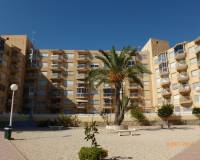 Alquiler a largo plazo - Apartamento - Arenales del Sol