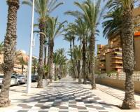 Alquiler a largo plazo - Apartamento - Arenales del Sol