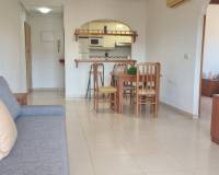 Alquiler a largo plazo - Apartamento - Arenales del Sol