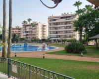 Alquiler a largo plazo - Apartamento - Arenales del Sol