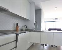 Alquiler a largo plazo - Apartamento - Benidorm - Zona de Poniente