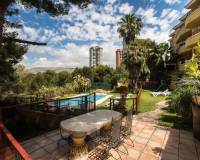 Alquiler a largo plazo - Apartamento - Benidorm