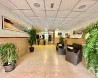 Alquiler a largo plazo - Apartamento - Campoamor - Dehesa de campoamor