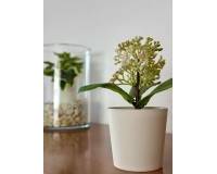 Alquiler a largo plazo - Apartamento - Elche - Altabix