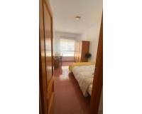 Alquiler a largo plazo - Apartamento - Elche - Altabix