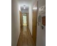 Alquiler a largo plazo - Apartamento - Elche - Altabix