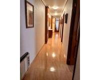 Alquiler a largo plazo - Apartamento - Elche - Center