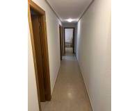 Alquiler a largo plazo - Apartamento - Elche