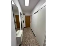 Alquiler a largo plazo - Apartamento - Elche