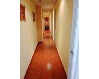Alquiler a largo plazo - Apartamento - Elche