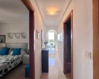 Alquiler a largo plazo - Apartamento - Guardamar del Segura - guardamar del segura