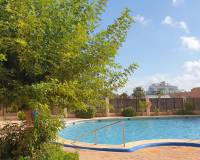 Alquiler a largo plazo - Apartamento - Guardamar del Segura - Guardamar Playa