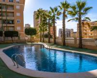 Alquiler a largo plazo - Apartamento - Guardamar del Segura - Guardamar Playa