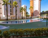 Alquiler a largo plazo - Apartamento - Guardamar del Segura - Guardamar Playa