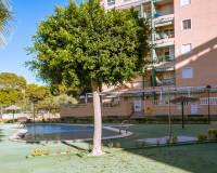 Alquiler a largo plazo - Apartamento - Guardamar del Segura - Guardamar Playa