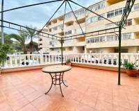 Alquiler a largo plazo - Apartamento - Guardamar del Segura - Guardamar Playa