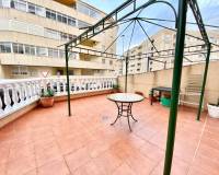 Alquiler a largo plazo - Apartamento - Guardamar del Segura - Guardamar Playa