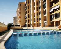 Alquiler a largo plazo - Apartamento - Guardamar del Segura - Guardamar Playa