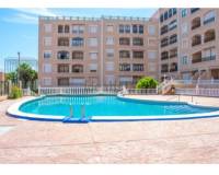Alquiler a largo plazo - Apartamento - Guardamar del Segura - Guardamar Playa