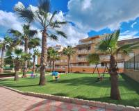 Alquiler a largo plazo - Apartamento - Guardamar del Segura - Guardamar