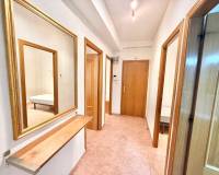 Alquiler a largo plazo - Apartamento - Murcia - Vista Alegre