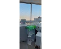 Alquiler a largo plazo - Apartamento - Murcia