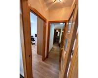 Alquiler a largo plazo - Apartamento - Murcia