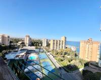 Alquiler a largo plazo - Apartamento - Orihuela Costa - Dehesa de campoamor