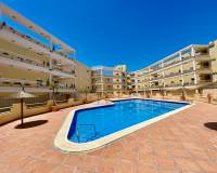 Alquiler a largo plazo - Apartamento - Orihuela Costa - Dehesa de campoamor