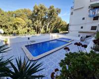 Alquiler a largo plazo - Apartamento - Orihuela Costa - Playa Flamenca