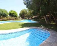 Alquiler a largo plazo - Apartamento - Orihuela Costa