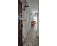 Alquiler a largo plazo - Apartamento - Pilar de la Horadada - Mil Palmeras