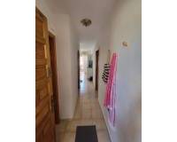 Alquiler a largo plazo - Apartamento - Pilar de la Horadada - Mil Palmeras