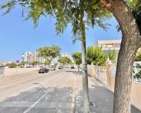 Alquiler a largo plazo - Apartamento - Pilar de la Horadada - Mil Palmeras