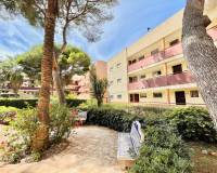 Alquiler a largo plazo - Apartamento - Pilar de la Horadada - Mil Palmeras