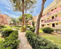 Alquiler a largo plazo - Apartamento - Pilar de la Horadada - Mil Palmeras