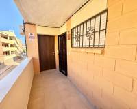 Alquiler a largo plazo - Apartamento - Pilar de la Horadada - Mil Palmeras