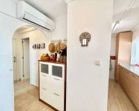 Alquiler a largo plazo - Apartamento - Pilar de la Horadada - Mil Palmeras