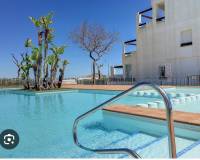 Alquiler a largo plazo - Apartamento - Roldan - Torre Pacheco