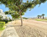 Alquiler a largo plazo - Apartamento - Roldan - Torre Pacheco