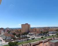 Alquiler a largo plazo - Apartamento - Santa Pola - Playa Lisa
