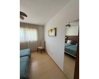 Alquiler a largo plazo - Apartamento - Torre Pacheco - Torre-pacheco
